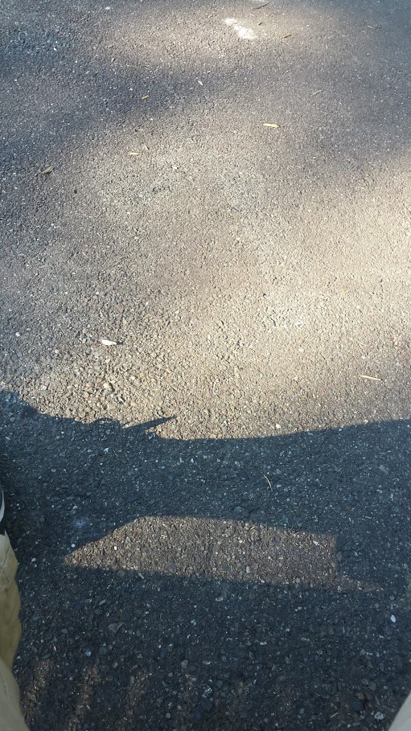 Lowell Park Basketball Court