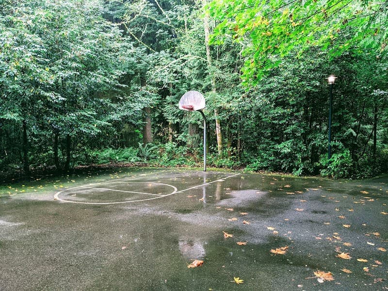 Photo by Brian (Google)