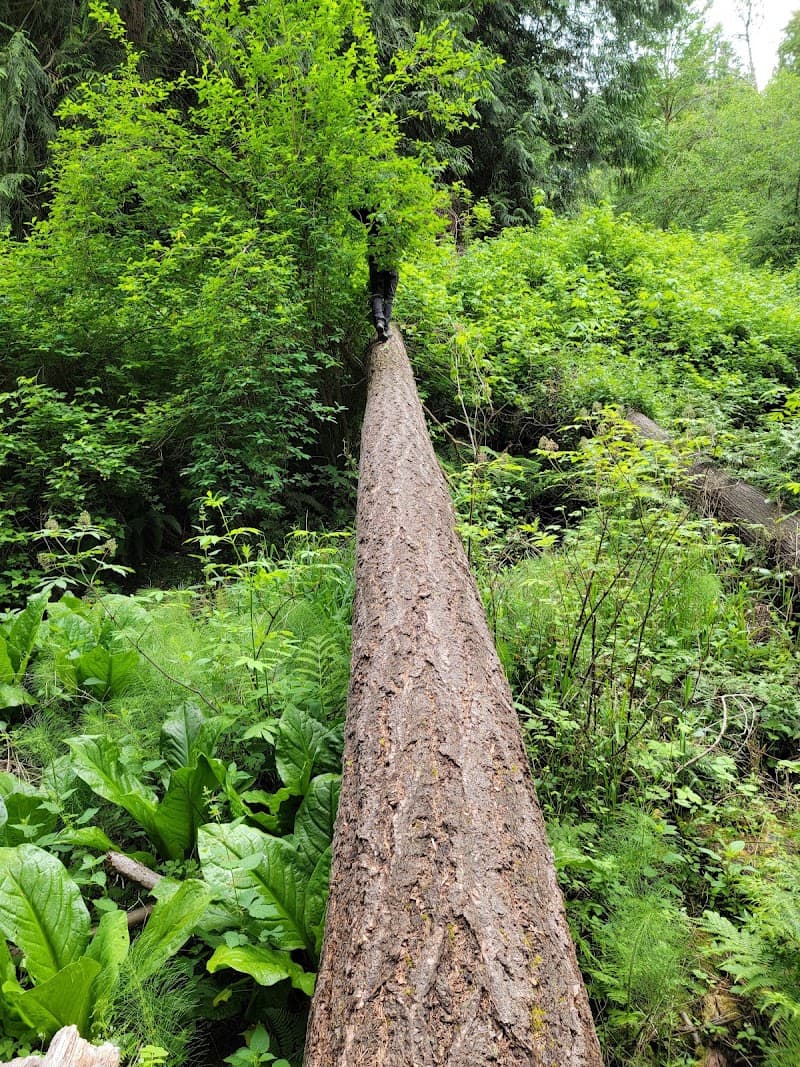 Photo by Stan Blake (Google)