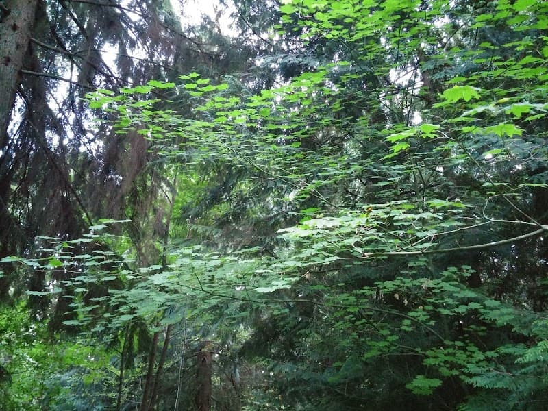Nickel Creek Park Basketball Court