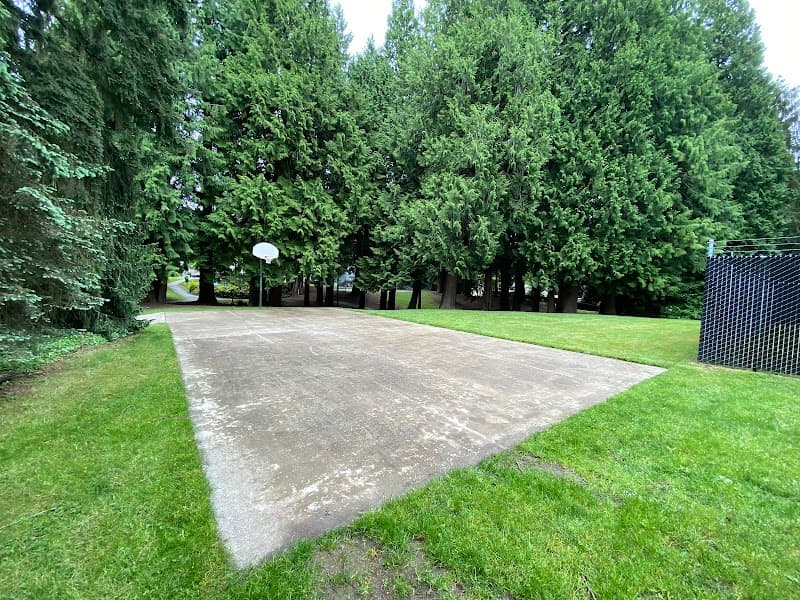 Photo by Bing Teng (Google)