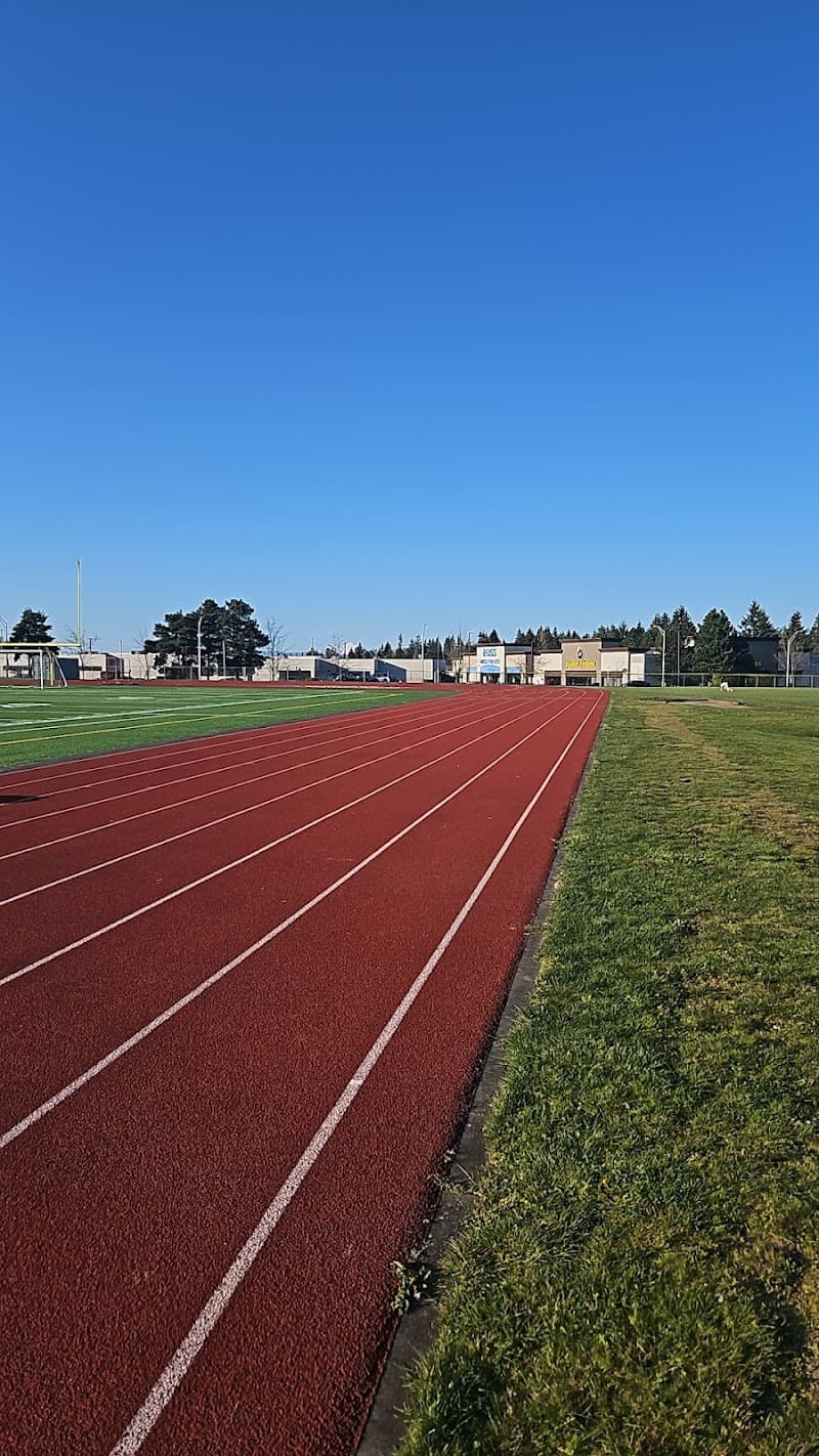 Photo by Ali Nasirzonouzi (Google)