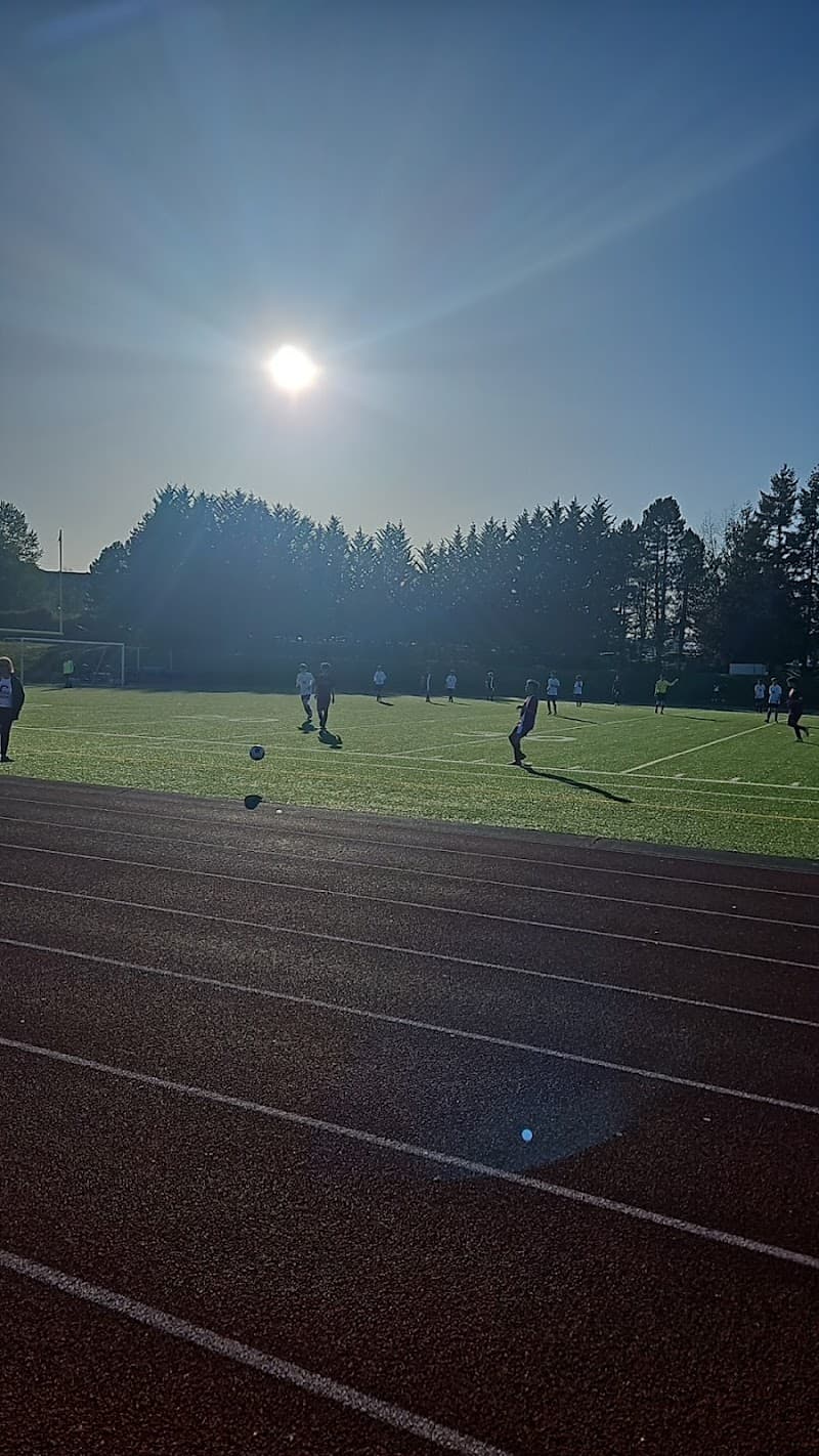 Photo by Ali Nasirzonouzi (Google)