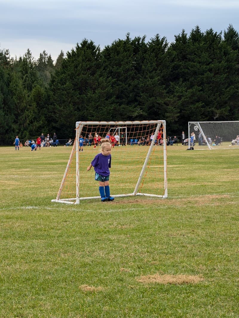 Photo by Byron Clinton (Heavy Bee's) (Google)