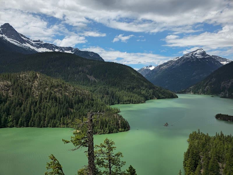 Photo by Nathan Follin (Google)