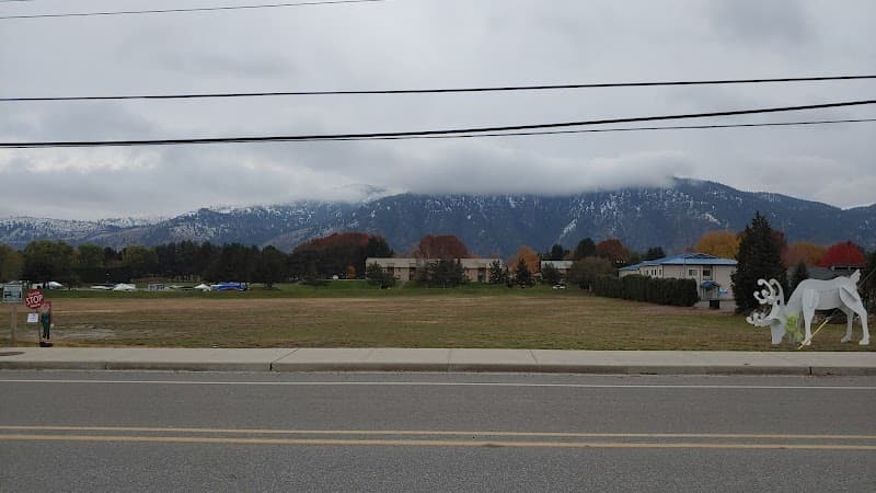 Photo by Sapphire Raven (Google)