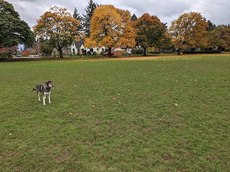 Photo by Paul Diener (Google)