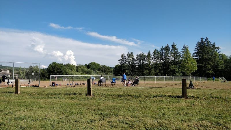 Photo by David Moore (Google)