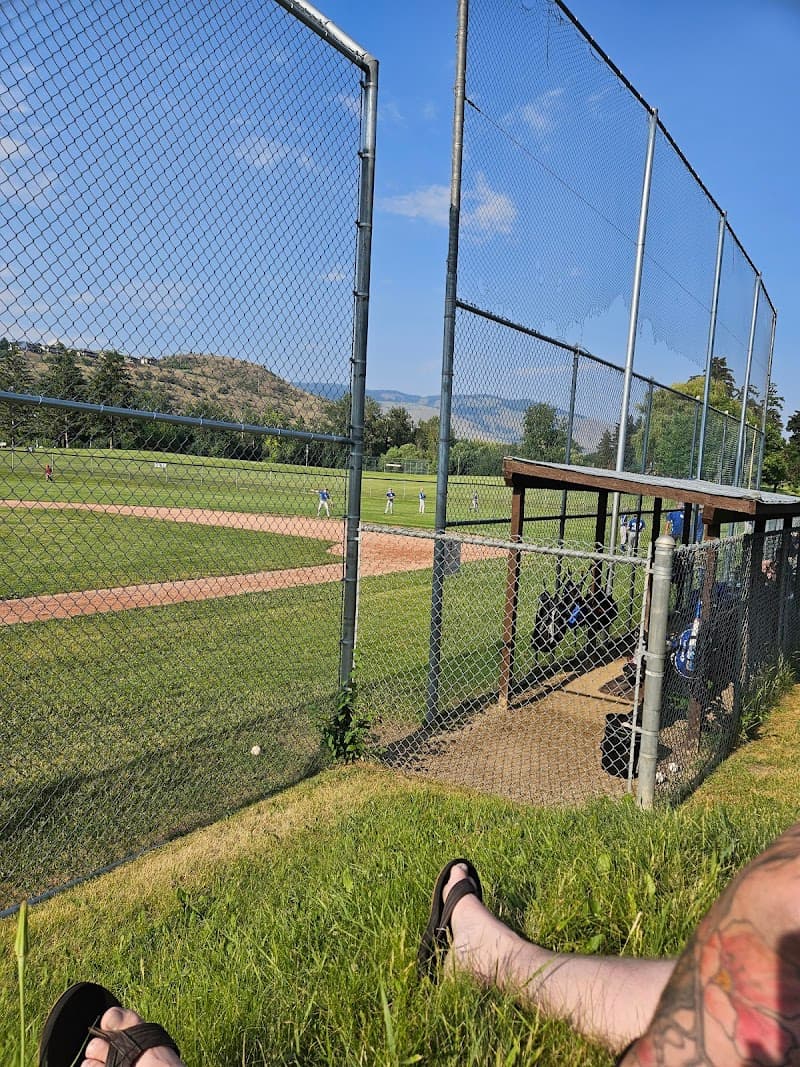 Photo by Tayler Anderson (Google)