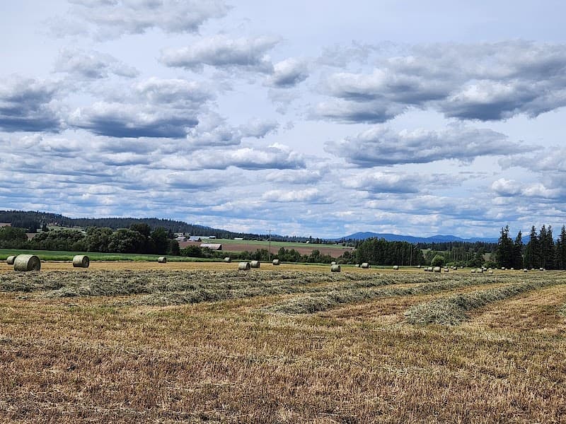 Wild Rose Community Center