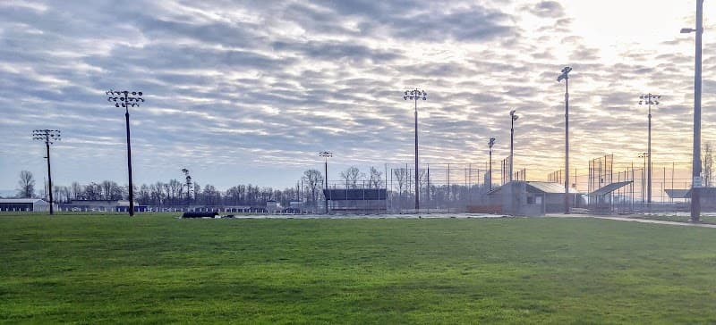 Photo by Curtis Anson (Google)