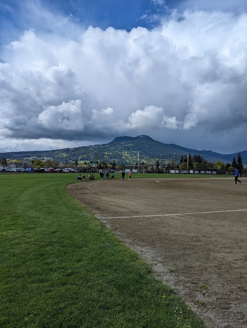 Photo by Allan Weiman (Google)