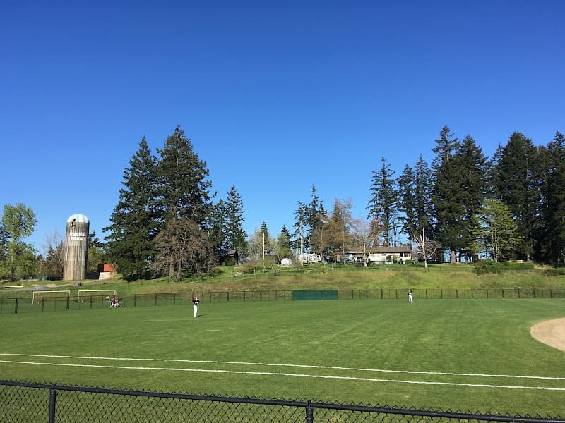 Photo by Raymond Chen (Google)