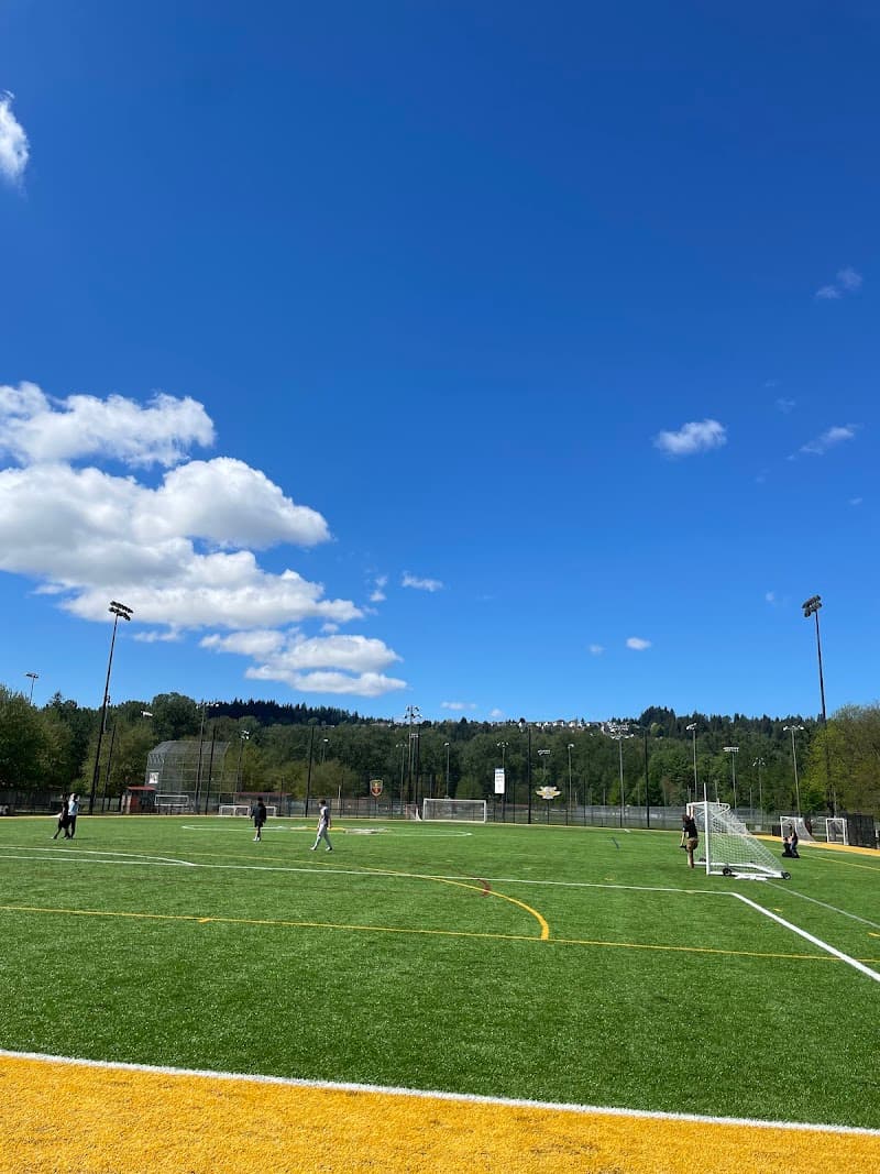 Photo by somayeh aghajani (Google)