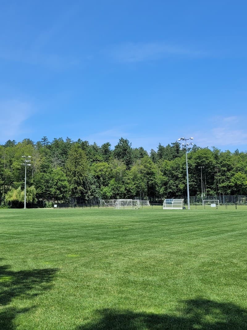 Photo by Corie lynn (Google)