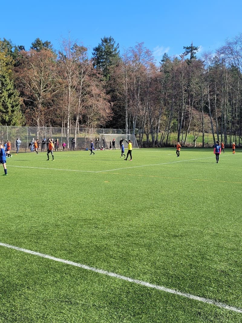 Photo by Andrea Williams (Google)