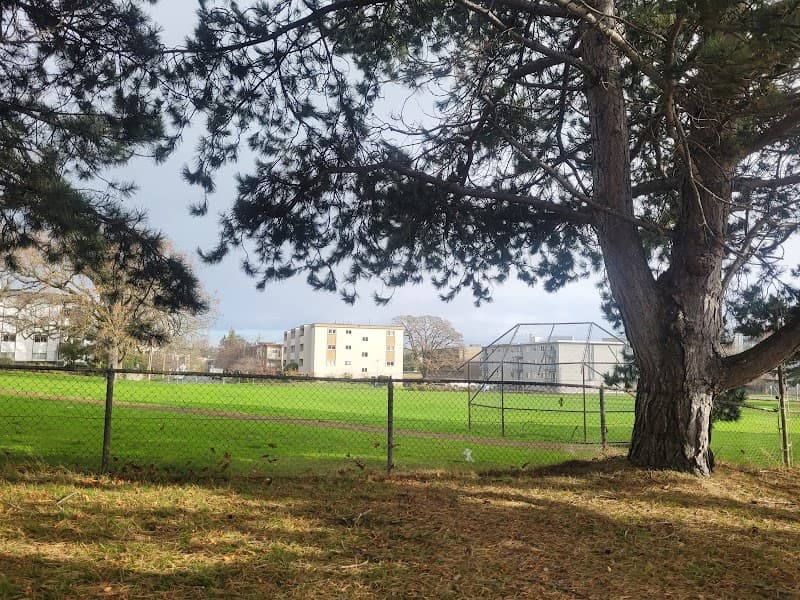 Photo by T Jones (Google)