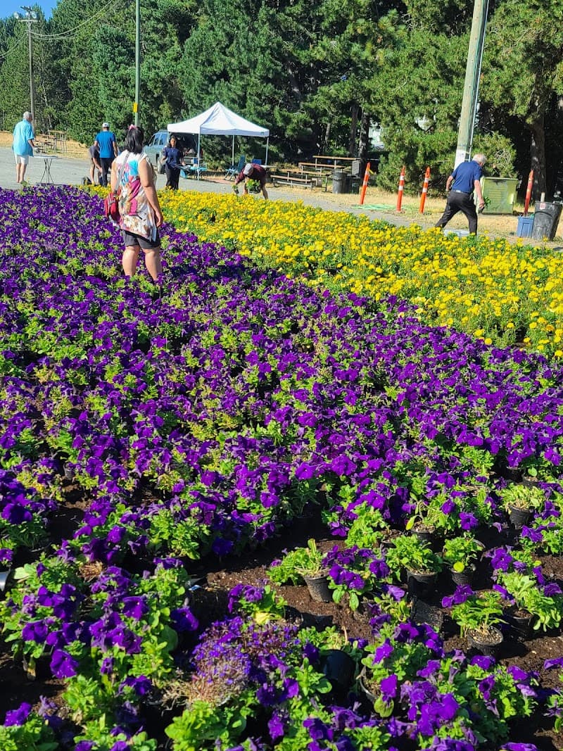 Photo by Booyaka Stubbs (ExplorewithStubbs.com) (Google)