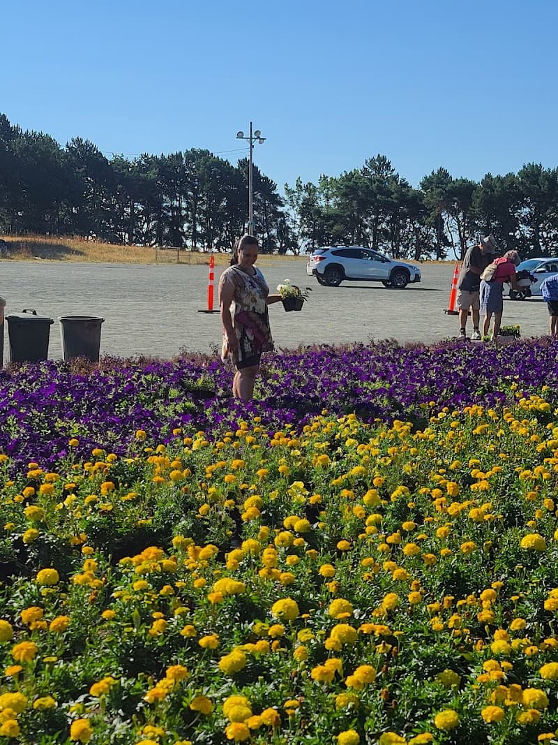 Photo by Booyaka Stubbs (ExplorewithStubbs.com) (Google)