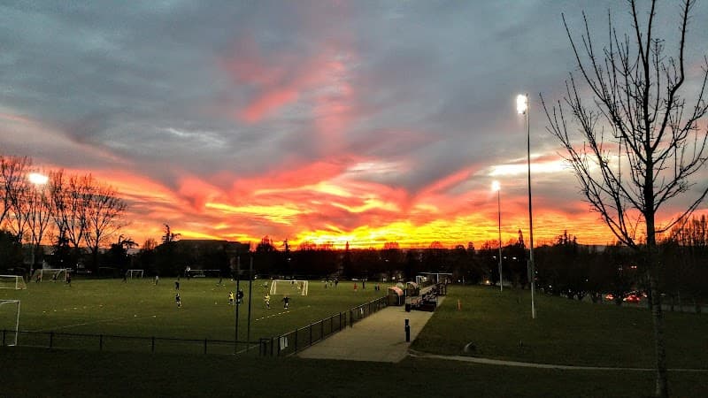 Photo by Dave (Google)