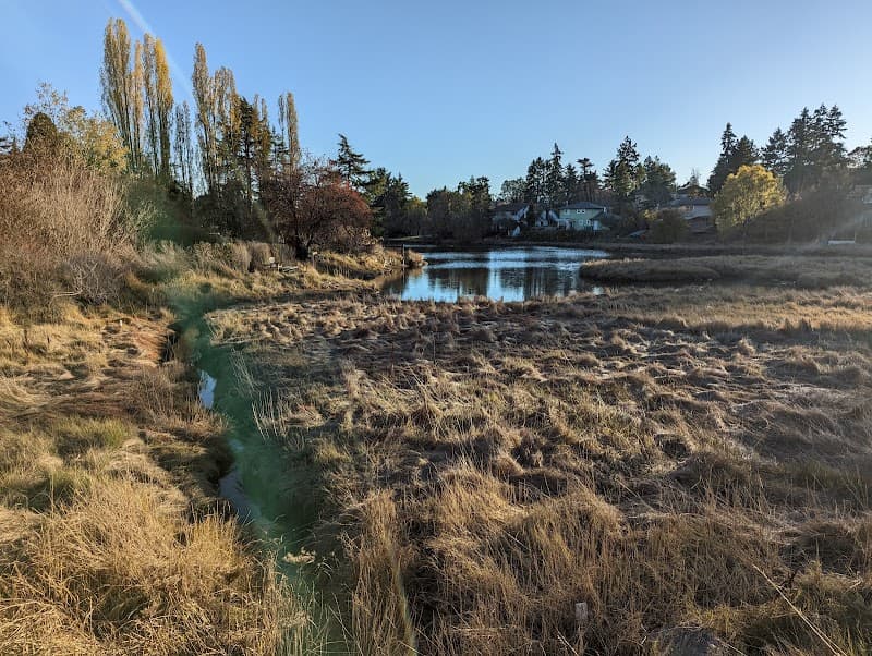 Photo by Jeff P (Google)