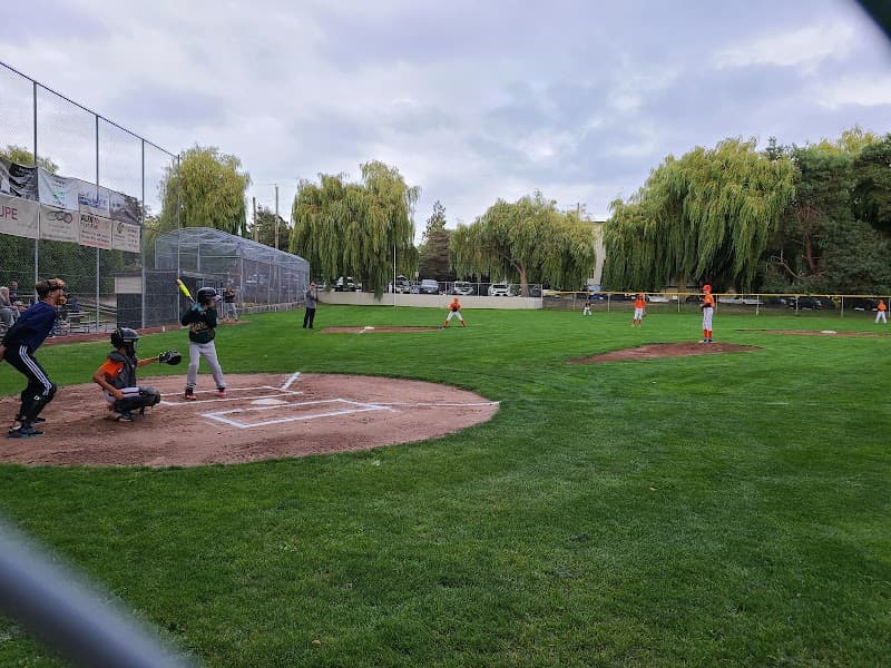 Photo by Frank Yen (Google)