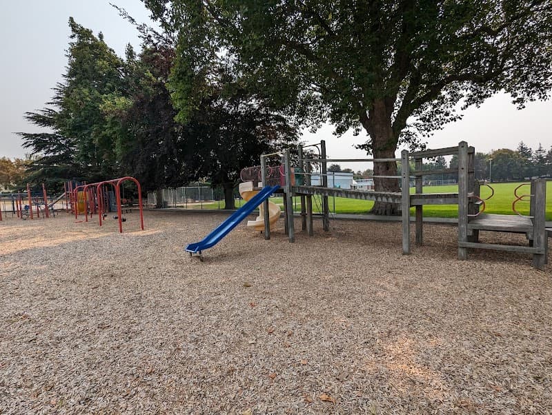 Photo by Fernando Corrêa Dias de Souza (Google)