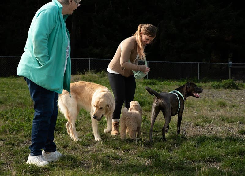 Clover Valley Park| NWPPRD Off-Leash Dog Park & Baseball Fields