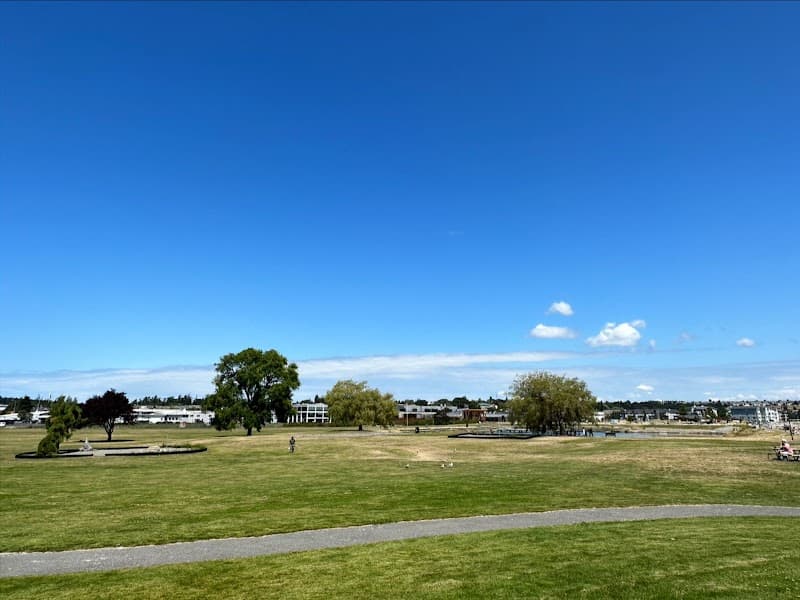 Photo by Lin Chen (Google)