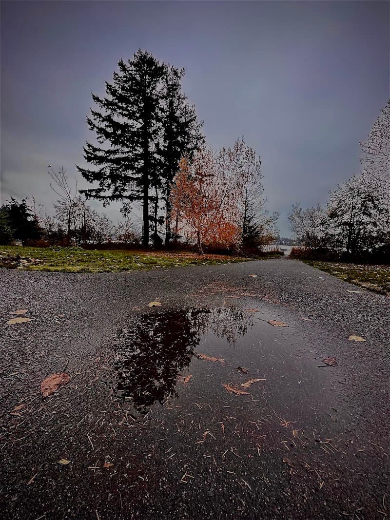 Photo by Angel M Solis (Google)