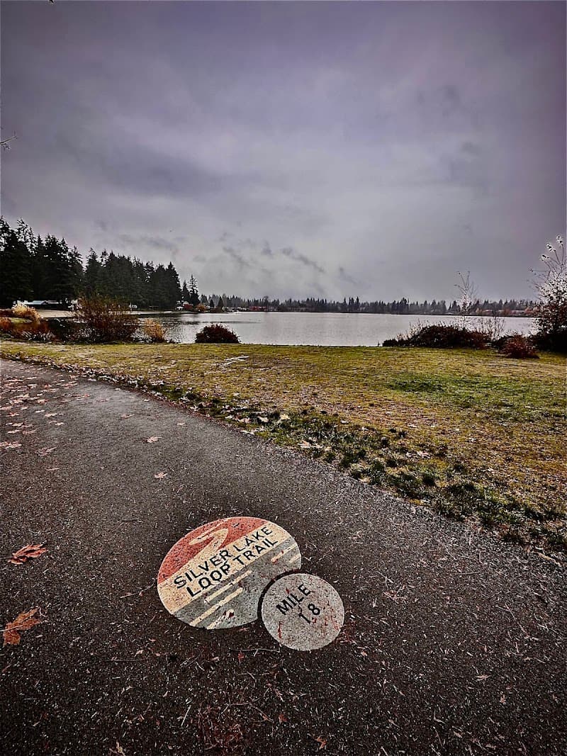 Beach Volleyball Court