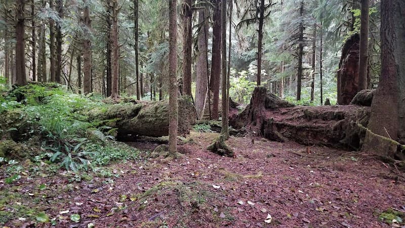 Photo by Daryll P (Google)