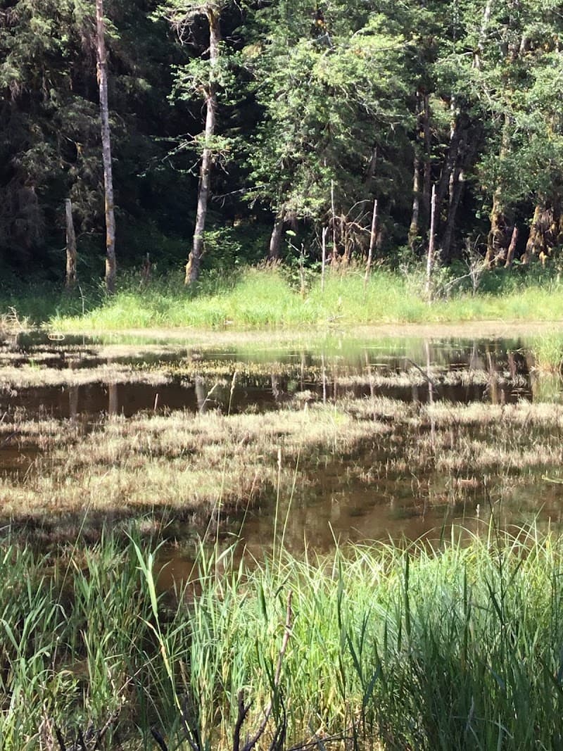 Gold Basin Recreation Area