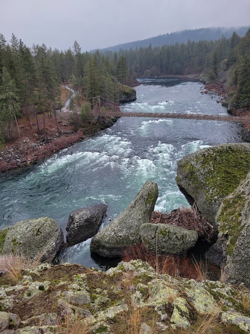 Photo by Yuelsy Perez (Google)