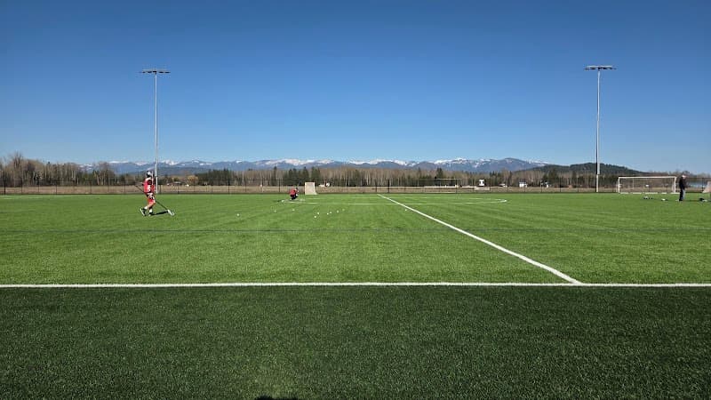 Photo by Owen (Google)