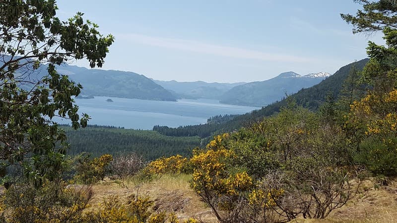 Photo by Garnet Maynard (Google)