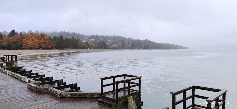 Photo by Saeid Golbidi (Google)