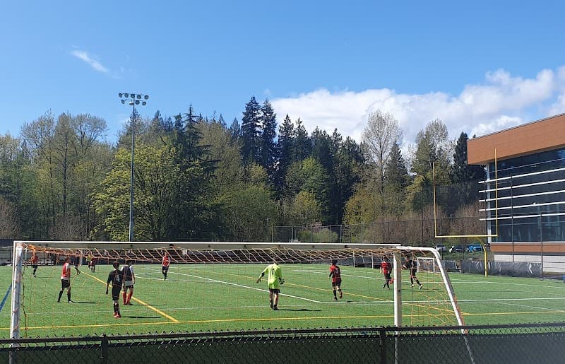 Photo by Anna Tuisheva (Google)