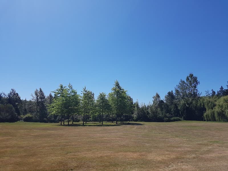 Photo by Davidius Aurelius (Google)