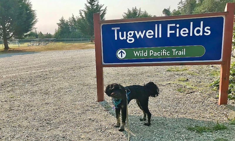 Photo by John Pozer (Google)