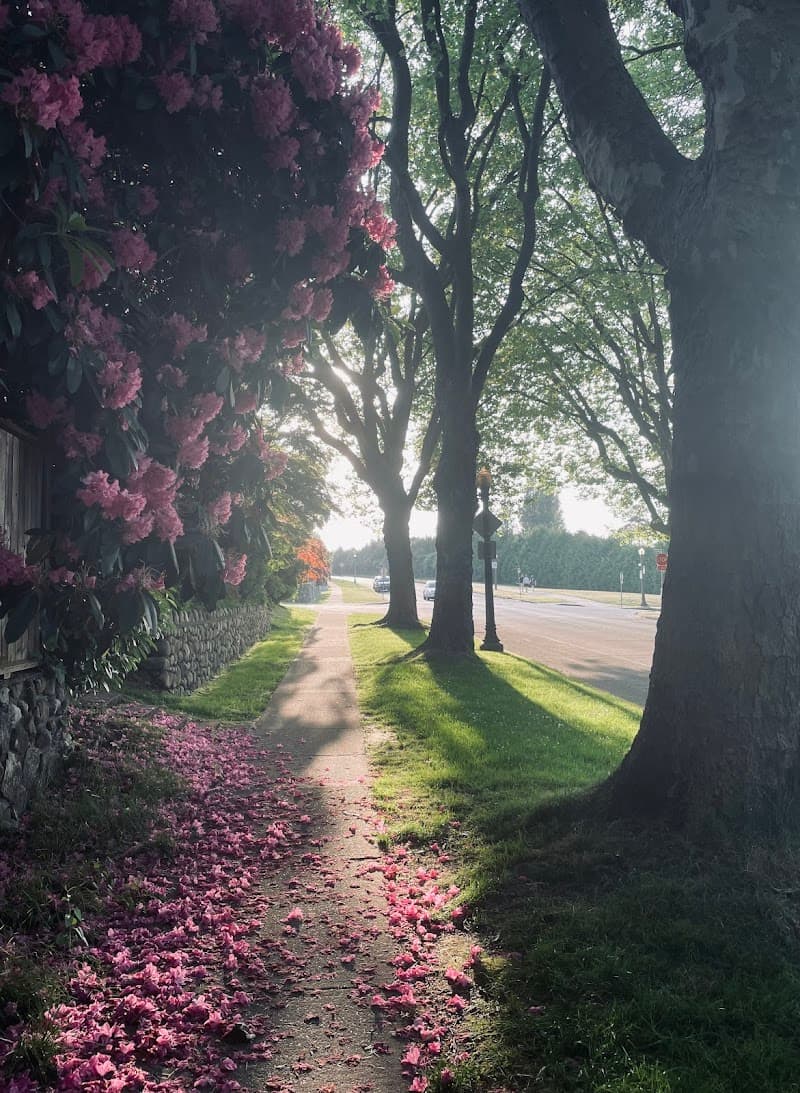 Trimble Park Basketball Courts