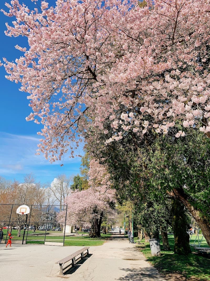 Douglas Park Basketball Court