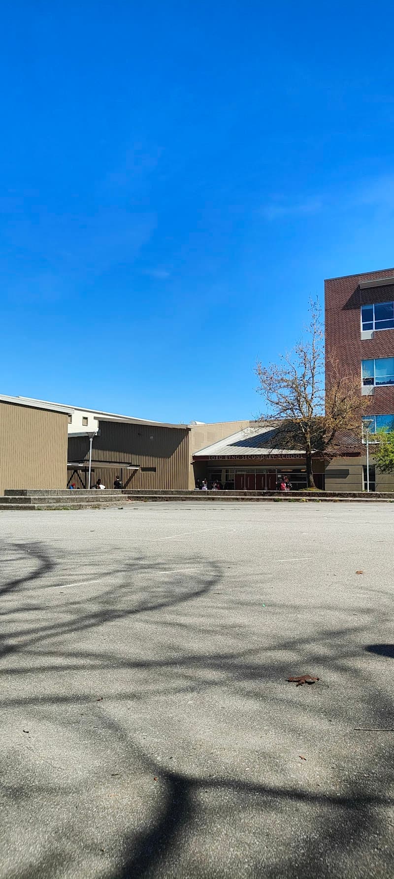 Photo by dash yt (Google)