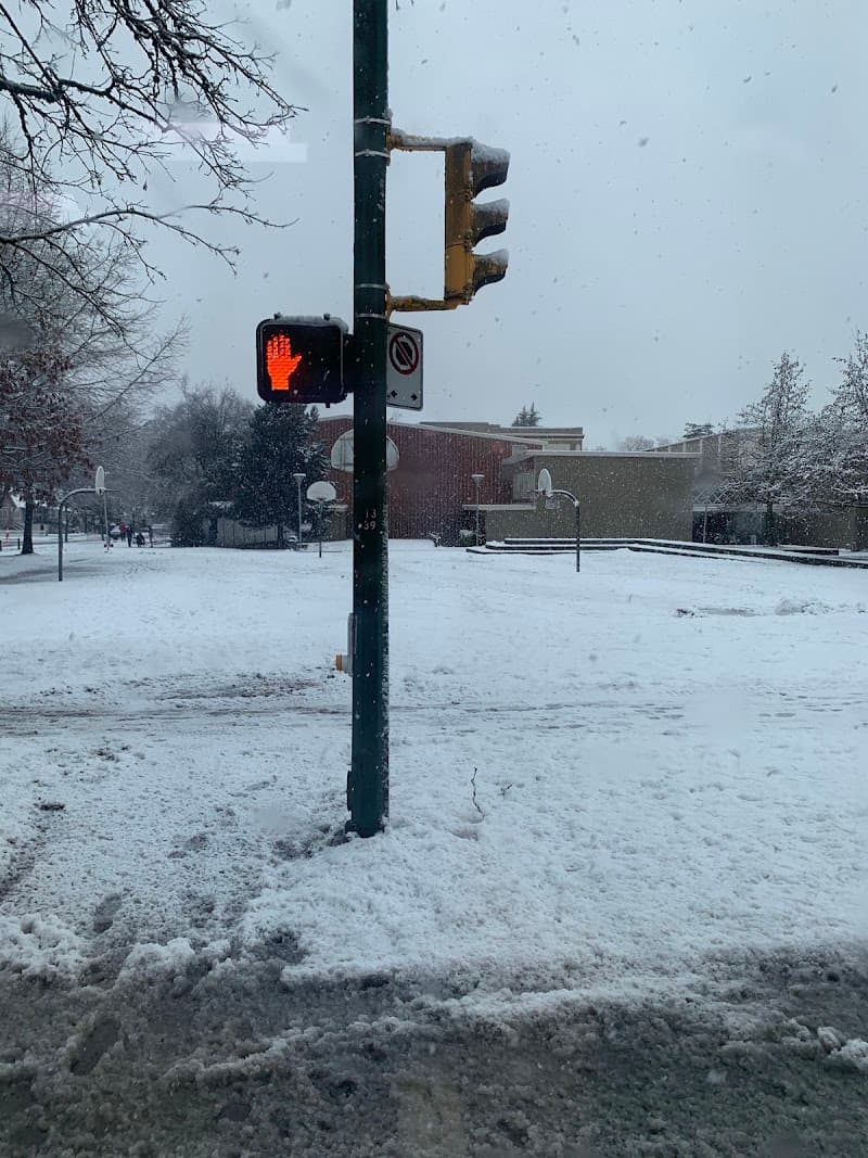 Lord Byng Basketball Courts