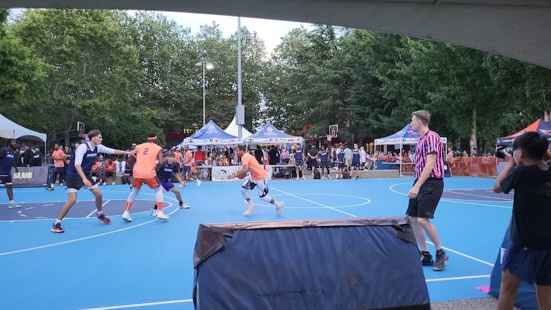 Photo by Nebu Jorgacevic (Google)