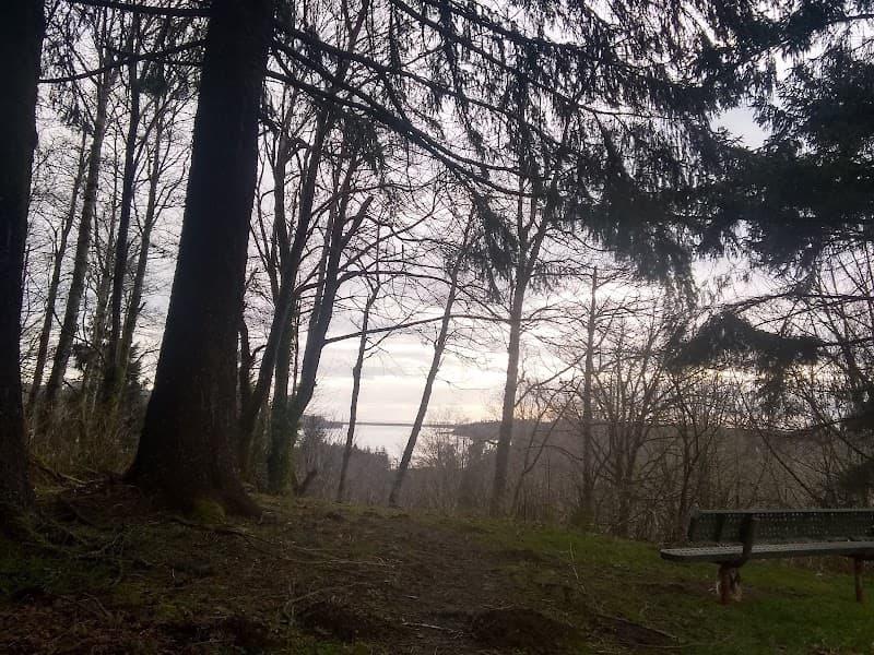 Photo by carolynn kutz (Google)