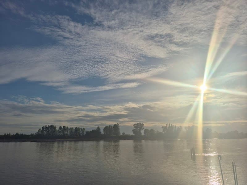 Photo by Mamtha (Google)