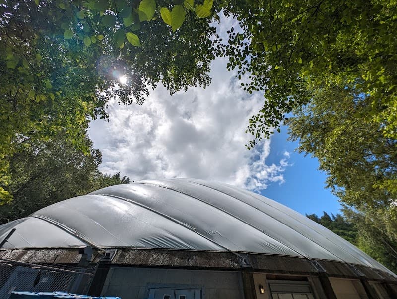 Photo by Janet Mak (Google)