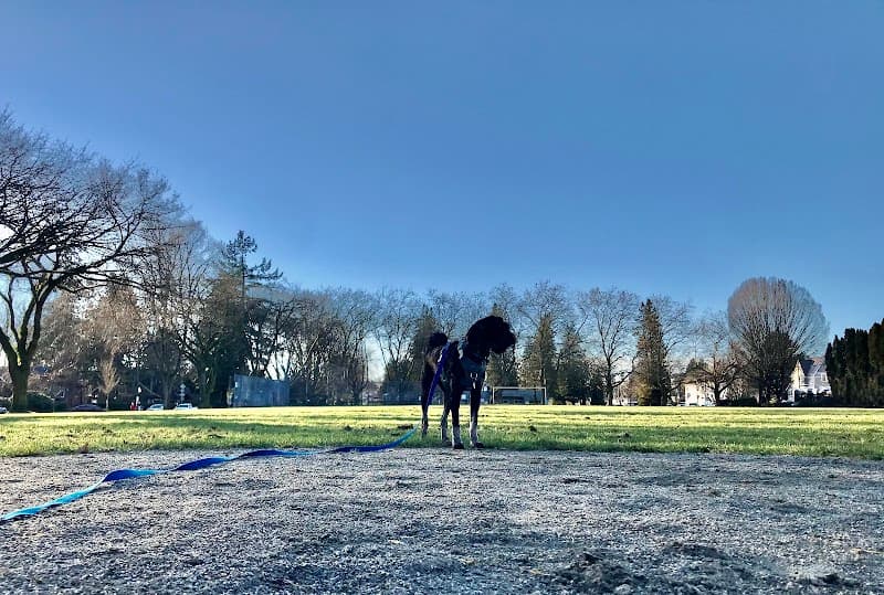 Photo by John Pozer (Google)