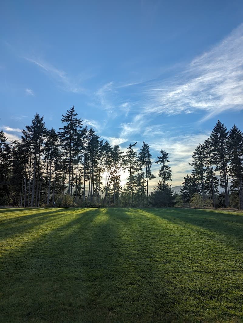 Photo by Nicholas Aron (Google)